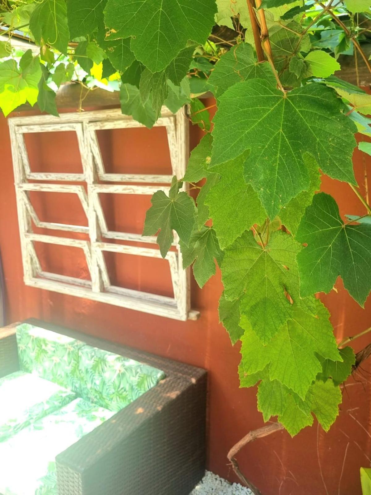 Vila Jabutis Γκουαρούχα Εξωτερικό φωτογραφία